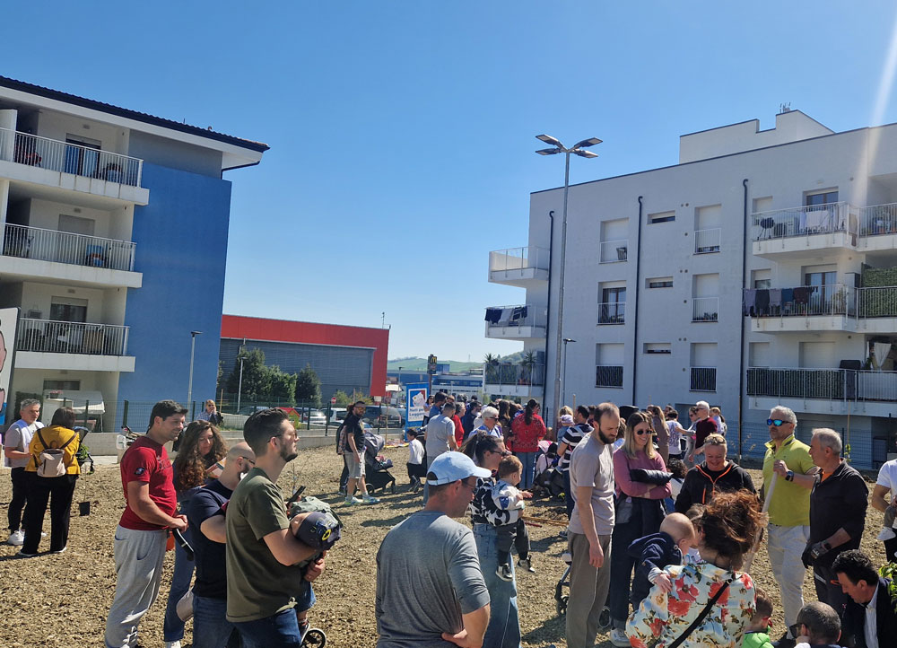 La piantumazione degli alberi