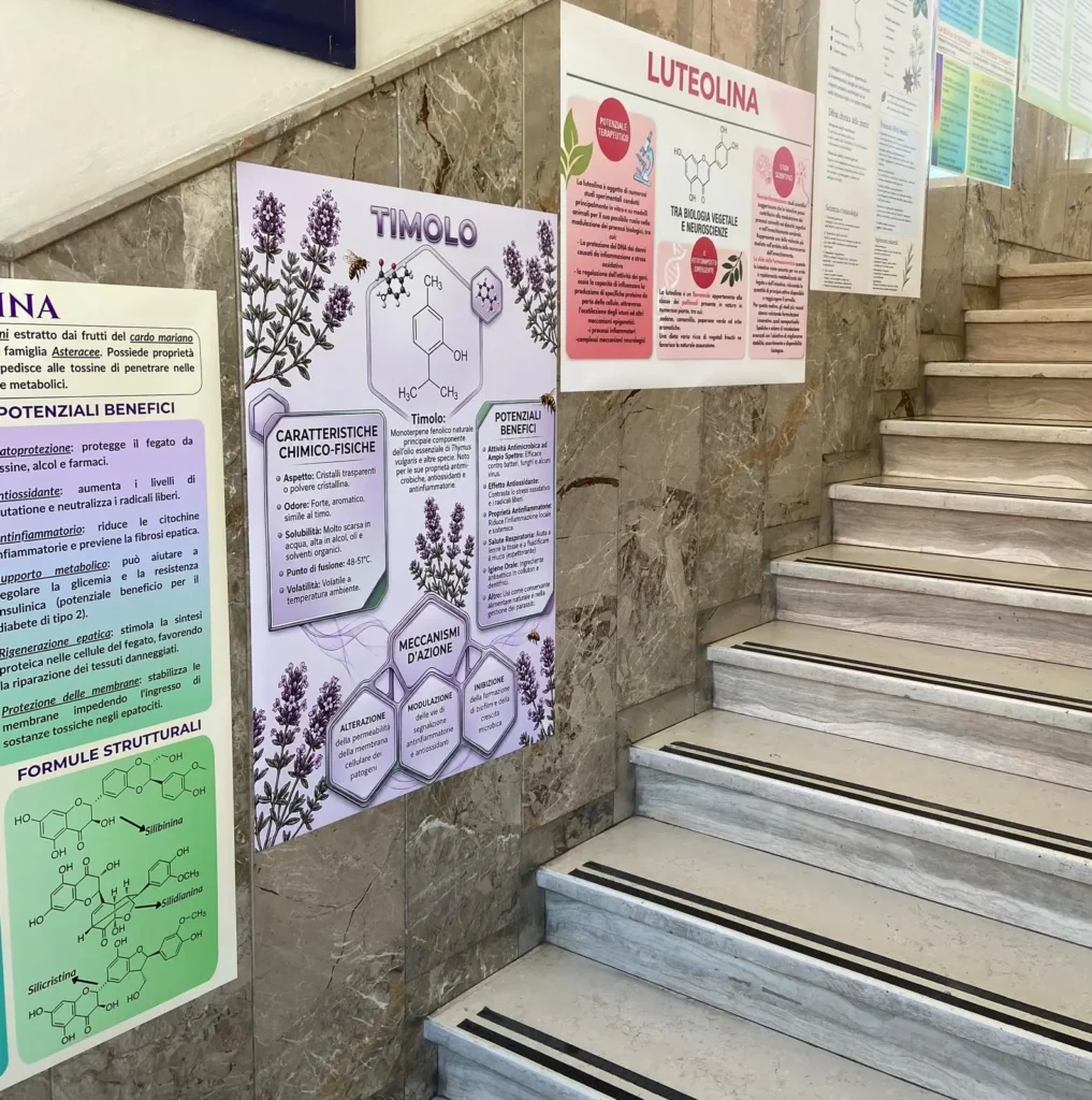 la scala del liceo scientifico Galilei di Macerata