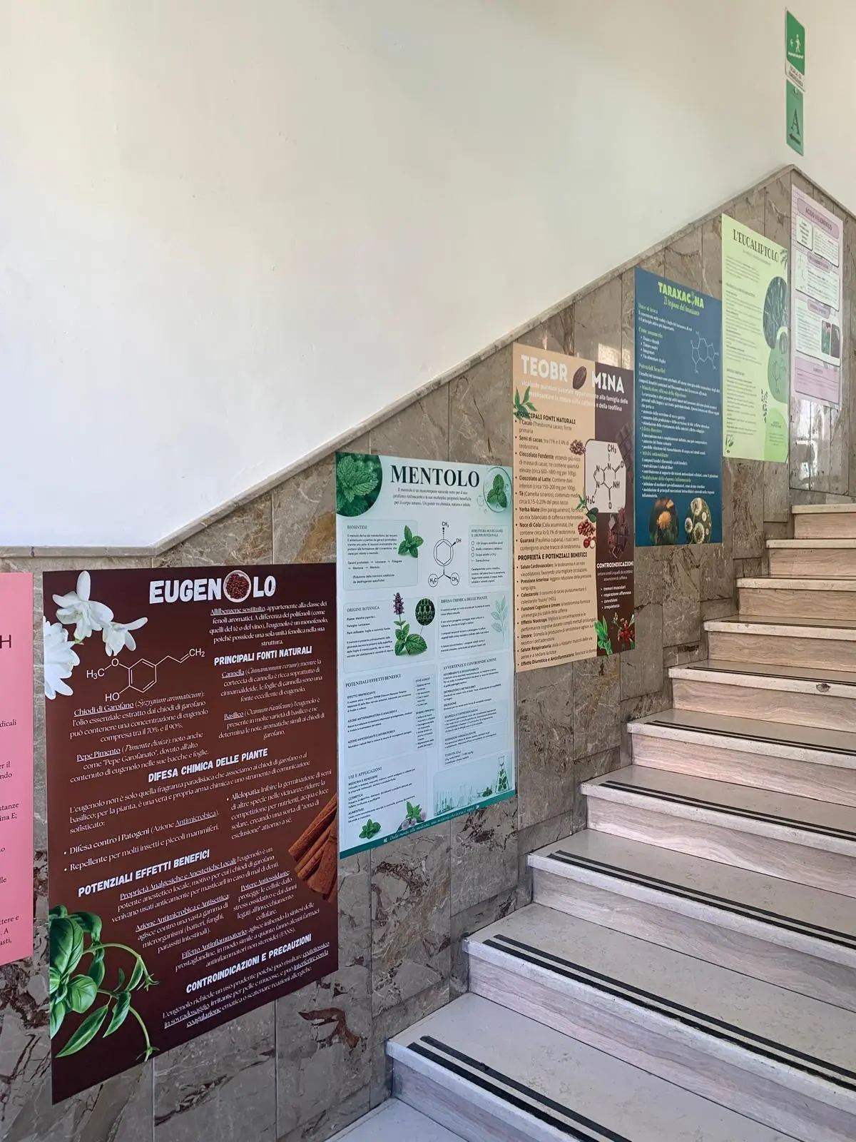 la scala del liceo scientifico Galilei di Macerata