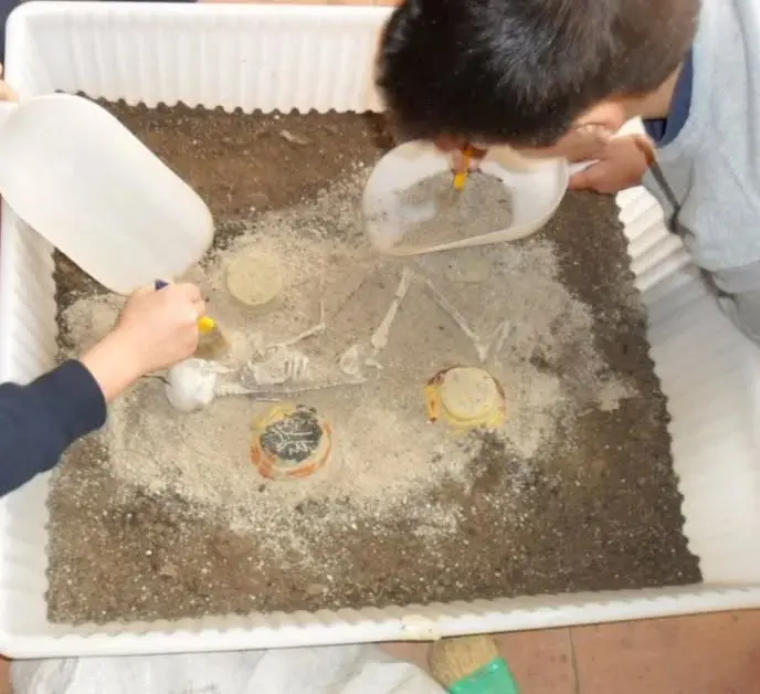 Paleo-Lab 2.0, alla ricerca dei segreti dei fossili