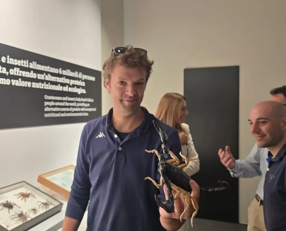 Un grande pianeta sulle piccole spalle degli insetti: al Mubi arriva “Artropodi”