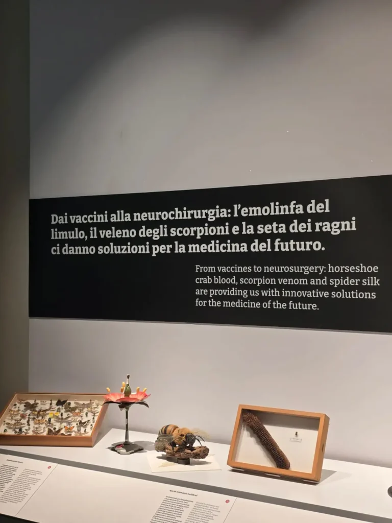 Il taglio del nastro della mostra al Mubi